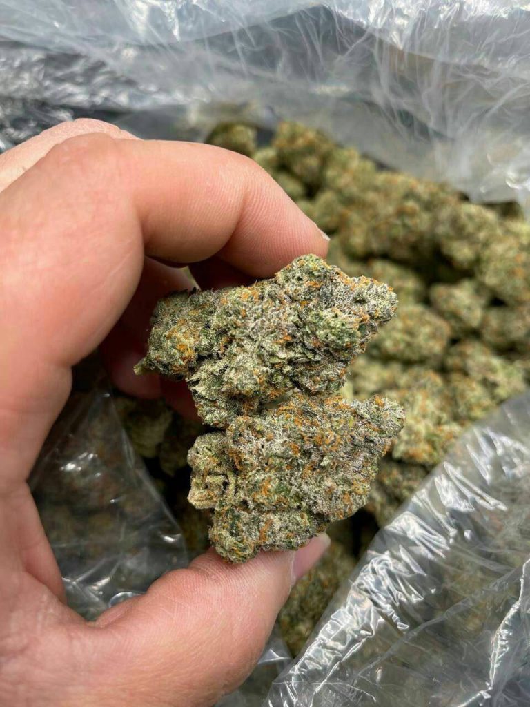 420 Wickr Brisbane